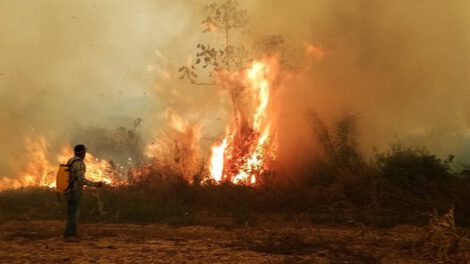 Incendios forestales en Bolivia