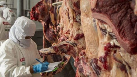 Veto a la exportación de carne en Bolivia