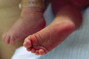 muerte de neonato en Viacha tras ataque de perros