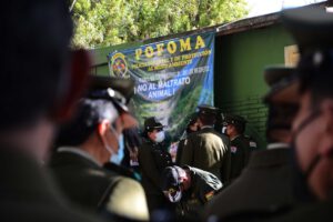 Delitos ambientales y la falta de jueces especializados en Bolivia