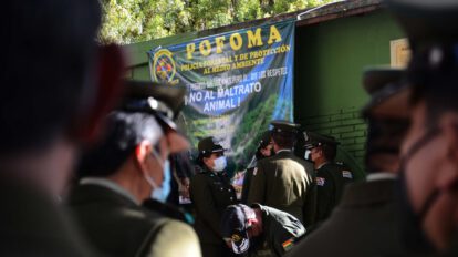 Delitos ambientales y la falta de jueces especializados en Bolivia