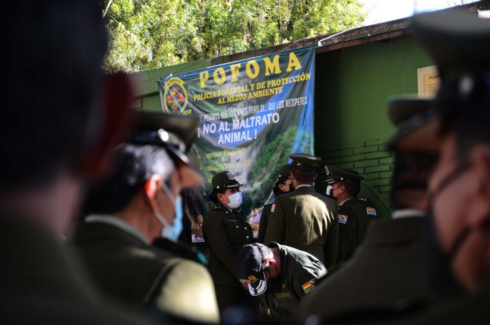 Delitos ambientales y la falta de jueces especializados en Bolivia