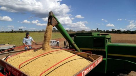 Cosecha de soya avanza en Santa Cruz
