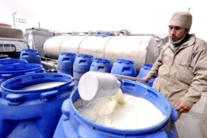 Aumento del precio de la leche en el país