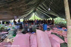 desmantelan fábricas de cocaína en Villa Tunari