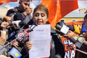 Pan-Bol advierte con procesos penales al TSE si anulan su personería jurídica