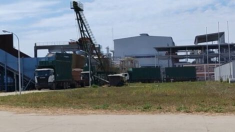 Producción de azúcar en San Buenaventura