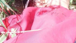 Asesinan a padre de diputado del MAS Nicanor Velásquez