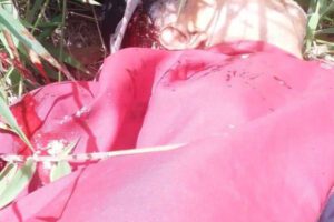 Asesinan a padre de diputado del MAS Nicanor Velásquez