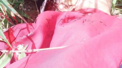 Asesinan a padre de diputado del MAS Nicanor Velásquez