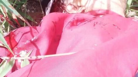 Asesinan a padre de diputado del MAS Nicanor Velásquez