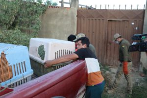 Muerte de mujer en Tarija por broncoaspiración