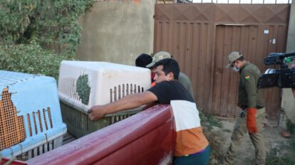 Muerte de mujer en Tarija por broncoaspiración