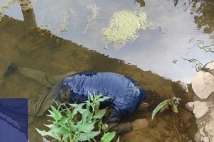 Adulto mayor muere ahogado en un riachuelo