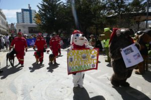 Maltrato animal en Oruro