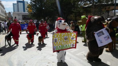Maltrato animal en Oruro