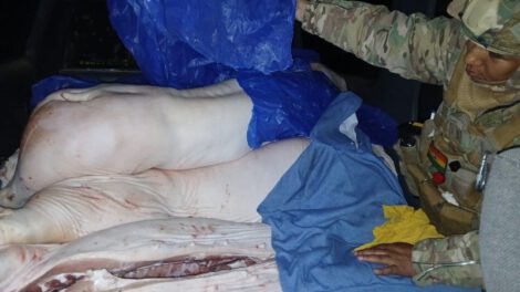 Gobierno decomisa carne en operativos contra contrabando