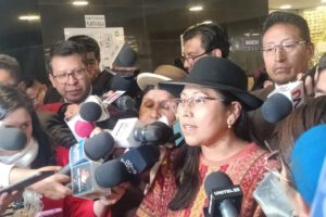 Marcha pacífica del MAS encabezada por la diputada Gladys Quispe