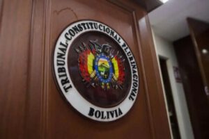 Tercer mandato presidencial en el Tribunal Constitucional Plurinacional