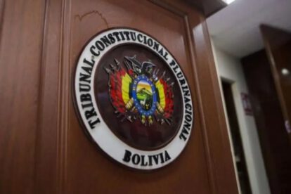 Tercer mandato presidencial en el Tribunal Constitucional Plurinacional