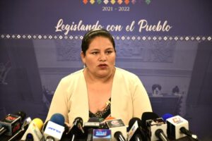 Deisy Choque candidata a la vicepresidencia del Movimiento Al Socialismo