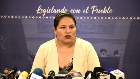 Deisy Choque candidata a la vicepresidencia del Movimiento Al Socialismo