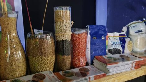 producción de semillas por la EEPS