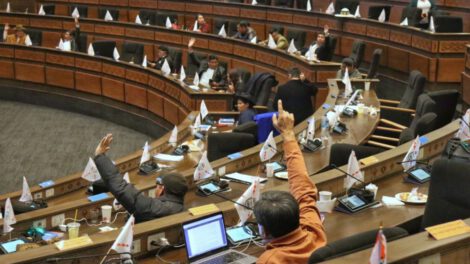 Ley sobre preclusión electoral aprobada por la Cámara de Diputados