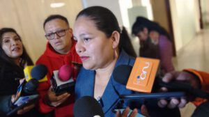 Deisy Choque candidata a la vicepresidencia