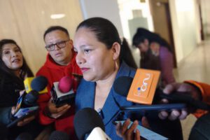 Deisy Choque candidata a la vicepresidencia