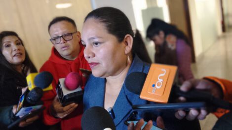 Deisy Choque candidata a la vicepresidencia