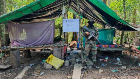 Desmantelan laboratorio de cristalización de cocaína en Villa Tunari