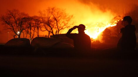 Incendios forestales en Europa y su impacto