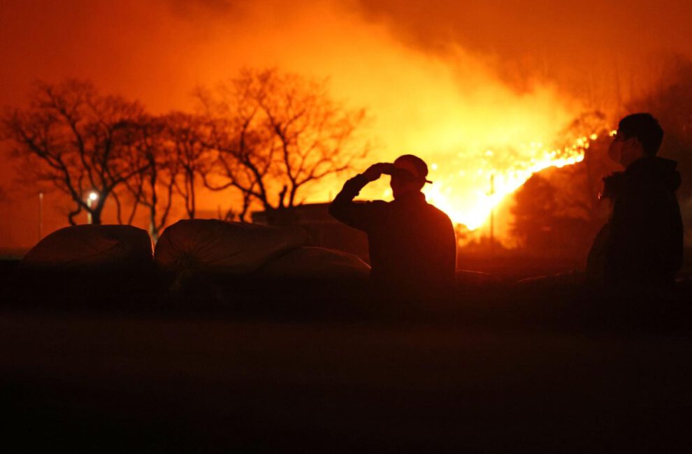 Incendios forestales en Europa y su impacto
