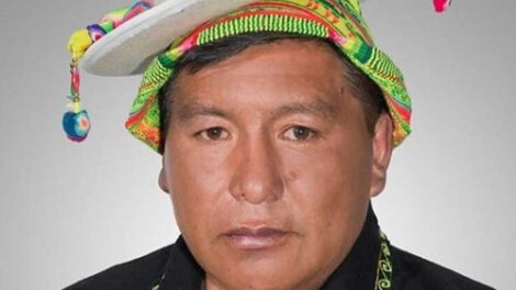 destitución del director de Sernap por vínculos mineros