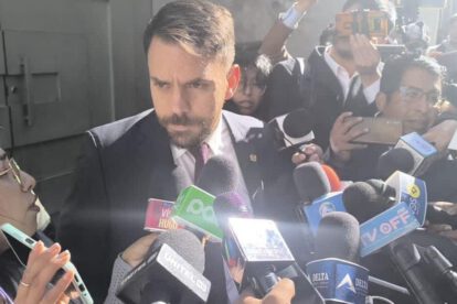 Del Castillo defiende al MAS ante intentos de proscripción política