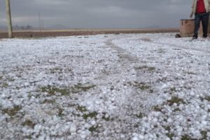 Heladas y granizadas en Bolivia afectan a más de 366.000 familias