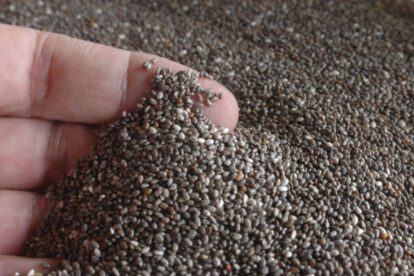 Siembra de chía en Bolivia crece gracias a la apertura del mercado chino