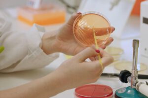 Microbiota intestinal y obesidad