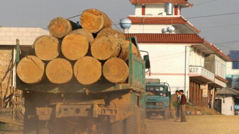 Deforestación importada en Latinoamérica