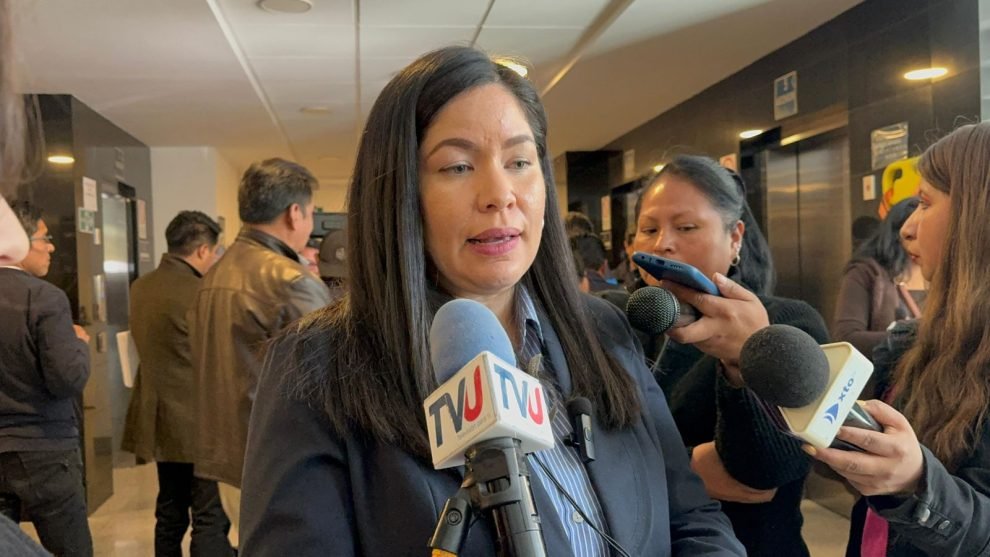 Crisis del dólar denunciada por la diputada Janira Román