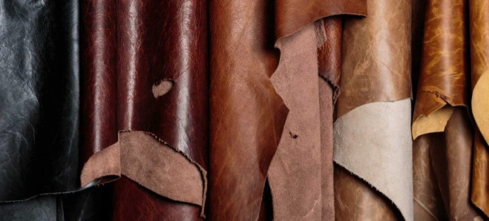 exportación de cuero bovino a China