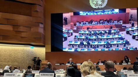 Bolivia impulsa medicina tradicional en el acuerdo sobre pandemias de la OMS