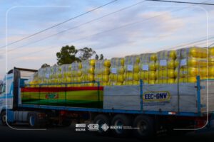 cilindros GNV para satisfacer demanda creciente del transporte