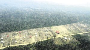 Decreto Supremo 5390 y su impacto en la deforestación en Bolivia