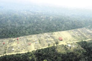 Decreto Supremo 5390 y su impacto en la deforestación en Bolivia