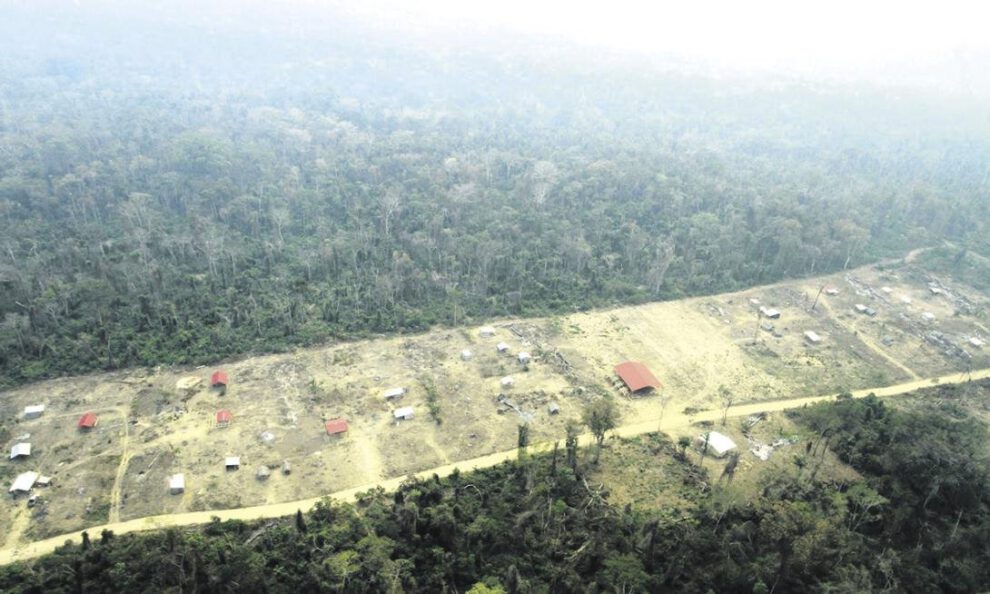 Decreto Supremo 5390 y su impacto en la deforestación en Bolivia