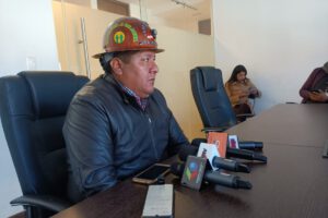 Candidatura de Rodríguez según Hilarión Mamani