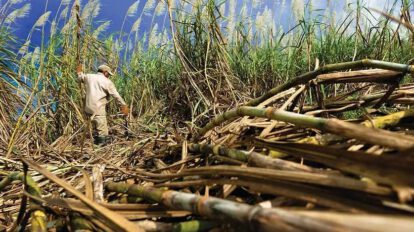 Crisis de diésel amenaza producción cañera en Santa Cruz