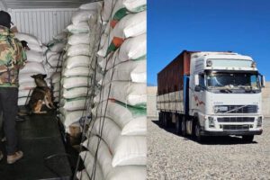 Detención preventiva para dos empresarios implicados en narcotráfico harina de soya